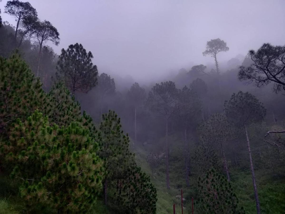 Hotel Le Halcyon , Kasauli Solan Exteriör bild