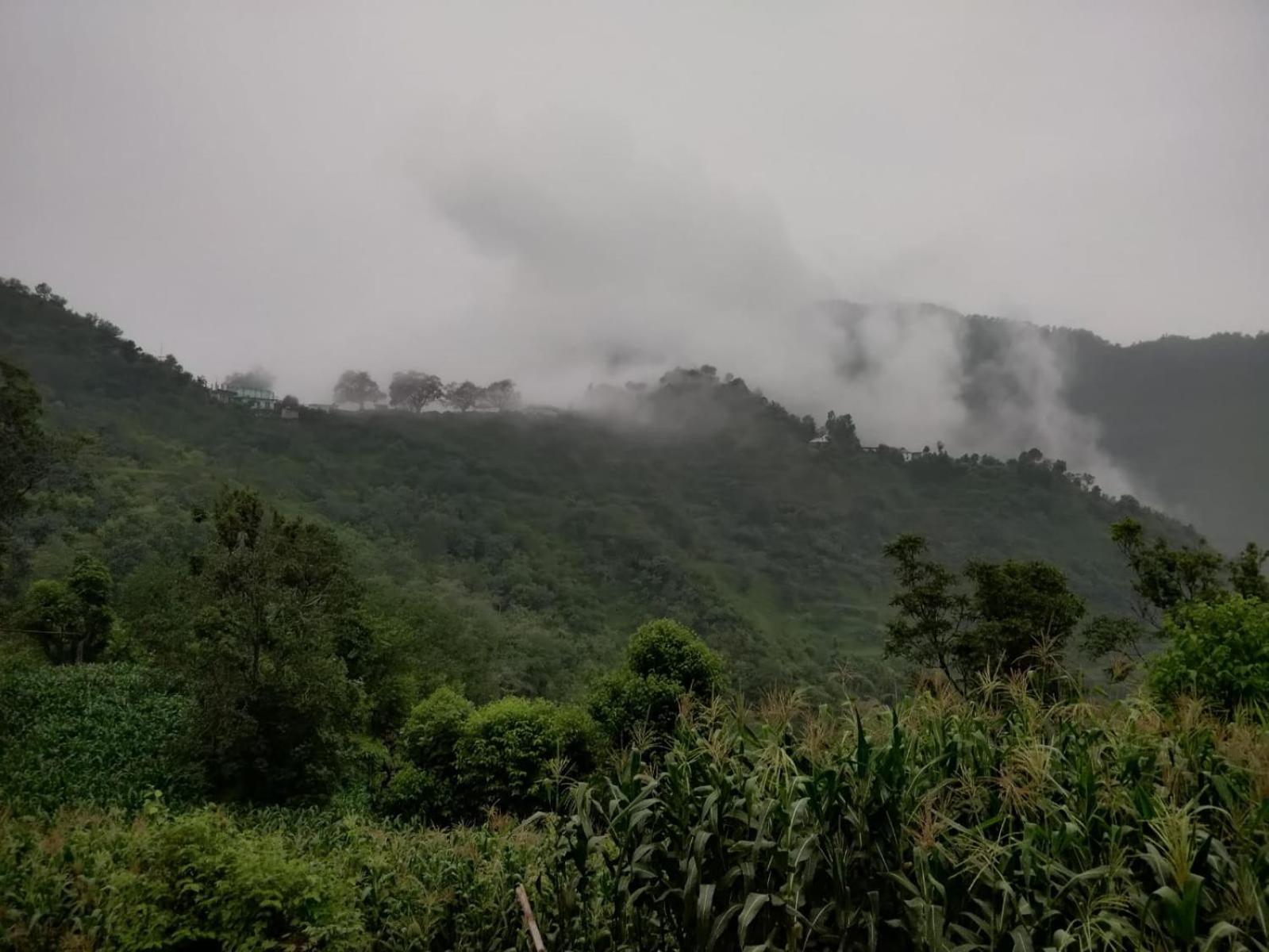 Hotel Le Halcyon , Kasauli Solan Exteriör bild